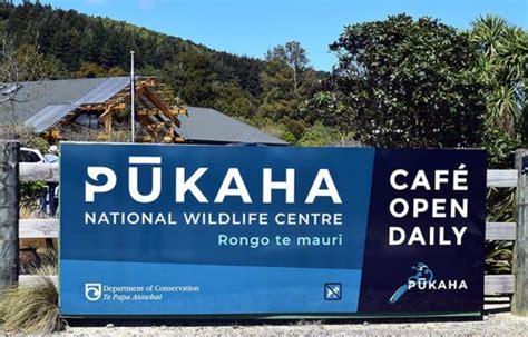 Pūkaha National Wildlife Centre The Wairarapa