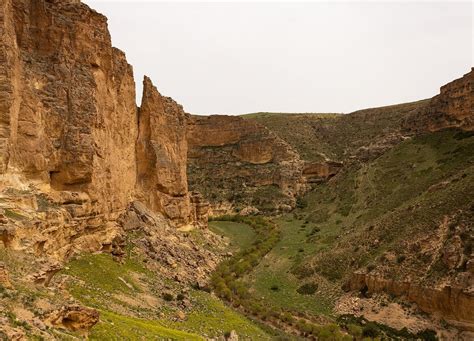Qam Cheqay Iran