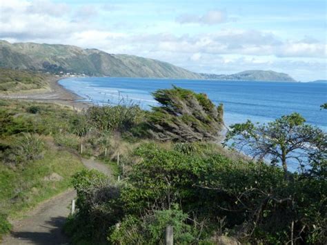 Queen Elizabeth Park North Island