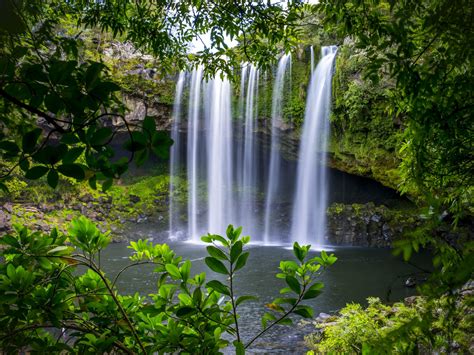 Rainbow Falls Bay Of Islands