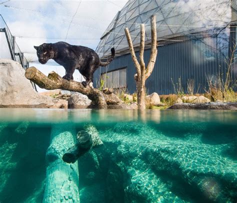 Randers Regnskov Central Jutland