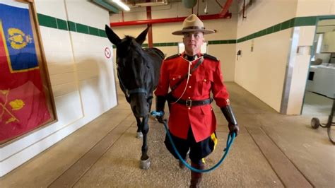 RCMP Musical Ride Centre Ottawa