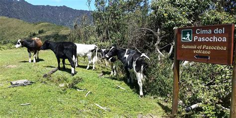 Refugio de Vida Silvestre Pasochoa Ecuador