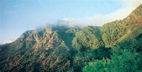 Reserva de la Biosfera Sierra de la Laguna Southern Baja