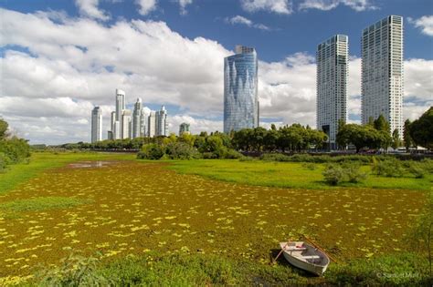 Reserva Ecológica Costanera Sur Puerto Madero