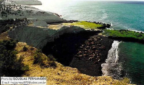 Reserva Faunística Punta Loma Puerto Madryn
