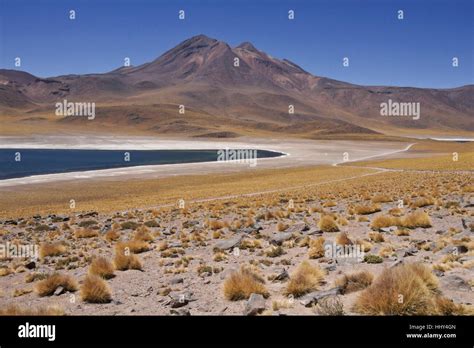 Reserva Nacional Los Flamencos Norte Grande