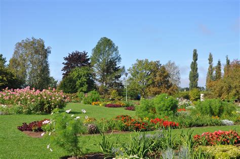 Reņka Garden Latvia