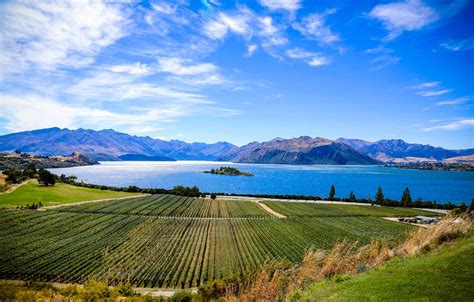 Rippon Wanaka