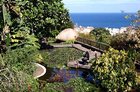 Risco Belle Aquatic Gardens Puerto De La Cruz