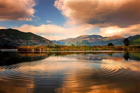 Riserva Naturale Torbiere del Sebino Central Lombardy