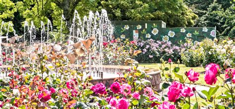 Rose Garden Waikato & The Coromandel Peninsula