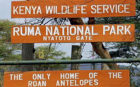 Ruma National Park Lake Victoria