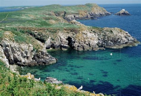 Saltee Islands County Wexford