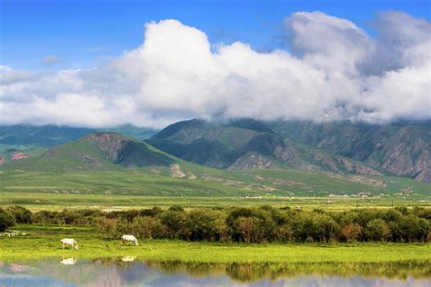 Sangke Grasslands Gansu