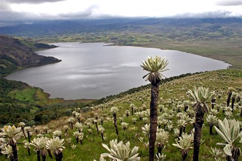 Santuario de Flora y Fauna Volcán Galeras Cali & Southwest Colombia