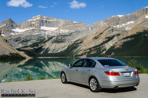 Saskatchewan River Crossing Jasper National Park