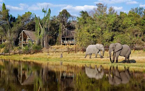 Savuti Marshes Chobe National Park