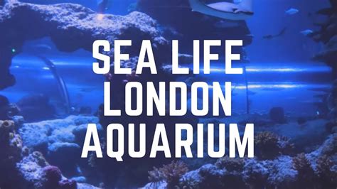 Sea Life London Aquarium South Bank