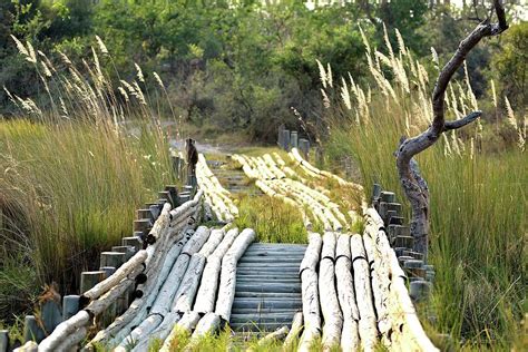 Second Bridge Okavango Delta