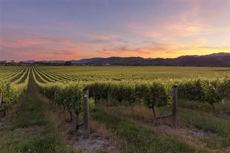 Seifried Nelson Region