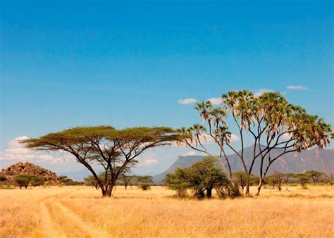 Shaba National Reserve Northern Kenya