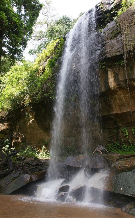 Sheldrick Falls South Coast