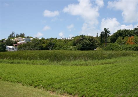 Sherwin Nature Reserve Bermuda