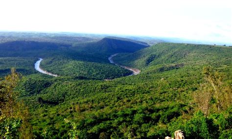 Shimba Hills National Reserve South Coast