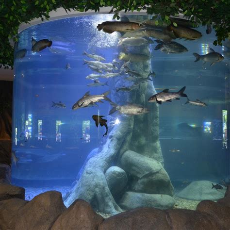 Shore Oceanarium Melaka City