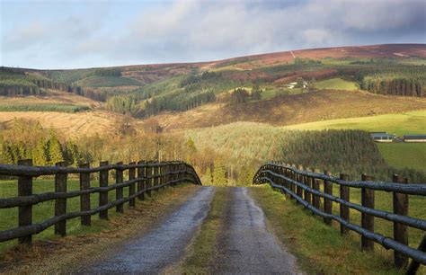 Slieve Bloom Mountains Nature Reserve The Midlands