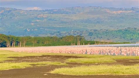 Soysambu Conservancy Southern Rift Valley