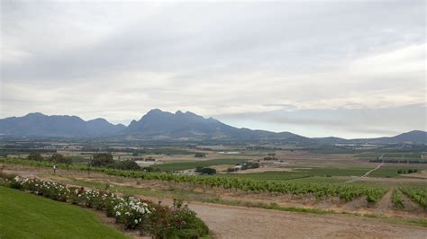 Spice Route Winelands