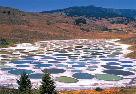 Spotted Lake Okanagan Valley