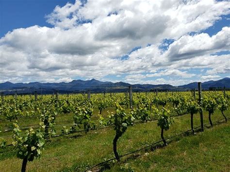 Spy Valley Wines Blenheim