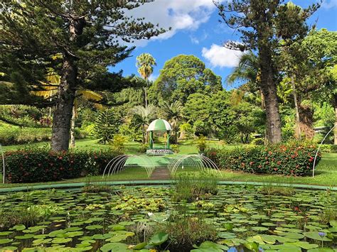 St Vincent Botanic Gardens St Vincent & The Grenadines