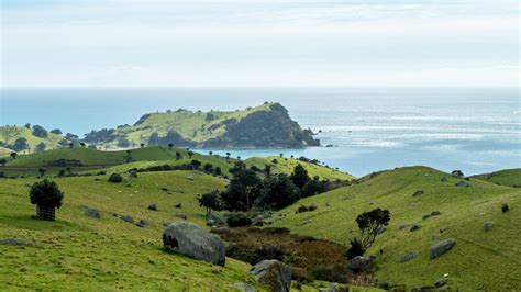Stony Batter Historic Reserve Waiheke Island