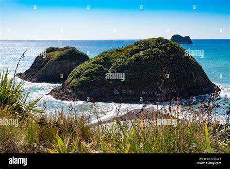 Sugar Loaf Islands Marine Park New Plymouth