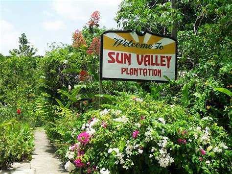 Sun Valley Plantation Ocho Rios, Port Antonio & The North Coast
