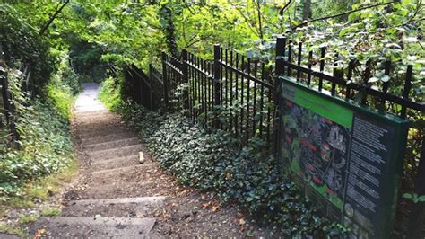 Sydenham Hill Wood Brixton, Peckham & South London
