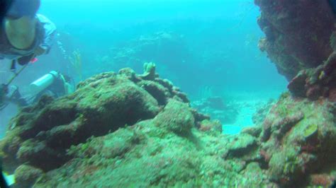Tackle Box Canyons Ambergris Caye