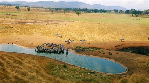 Taita Hills Wildlife Sanctuary Kenya