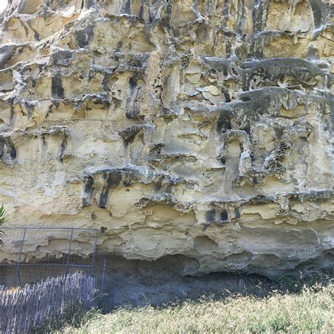 Takiroa Māori Rock Painting Site Dunedin & Otago