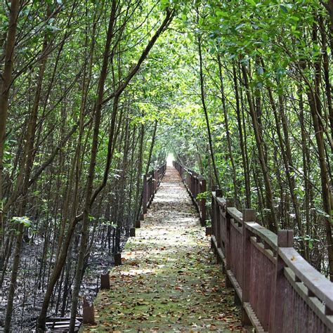 Taman Alam Kuala Selangor Malaysia