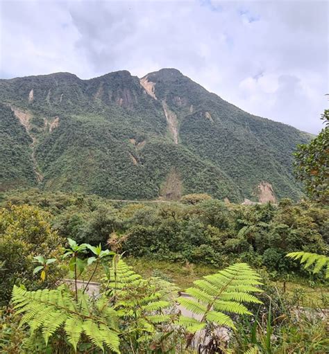 Tapichalaca Reserve Vilcabamba