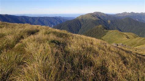 Tararua Forest Park The Wairarapa