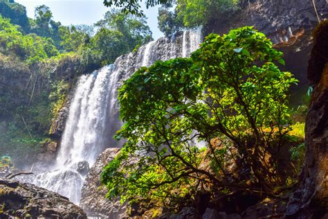 Tayicseua Bolaven Plateau Region