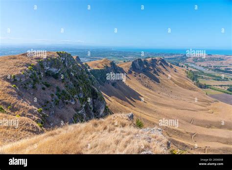 Te Mata Peak Hastings & Around