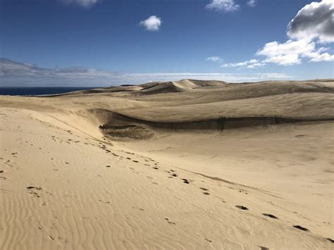 Te Paki Giant Sand Dunes The Far North