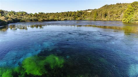 Te Waikoropupū Springs Takaka